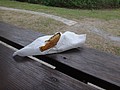 DSC02962.JPG