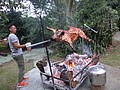 DSC02967.JPG