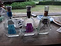 DSC02970.JPG