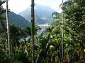DSC02993.JPG