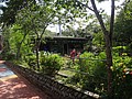 DSC02998.JPG