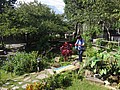 DSC02999.JPG