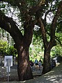 DSC03008.JPG