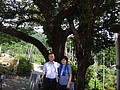 DSC03012.JPG