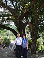DSC03013.JPG