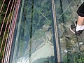 DSC03018.JPG