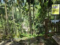 DSC03027.JPG