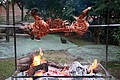 IMG_9893.JPG