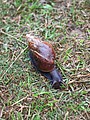 IMG_9902.JPG