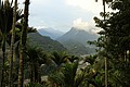 IMG_9920.JPG