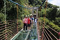 IMG_9942.JPG