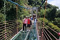IMG_9943.JPG