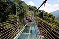 IMG_9944.JPG