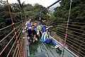 IMG_9947.JPG