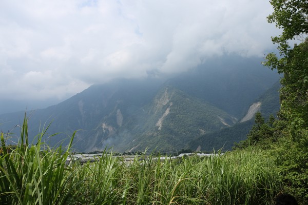 IMG_5446.JPG