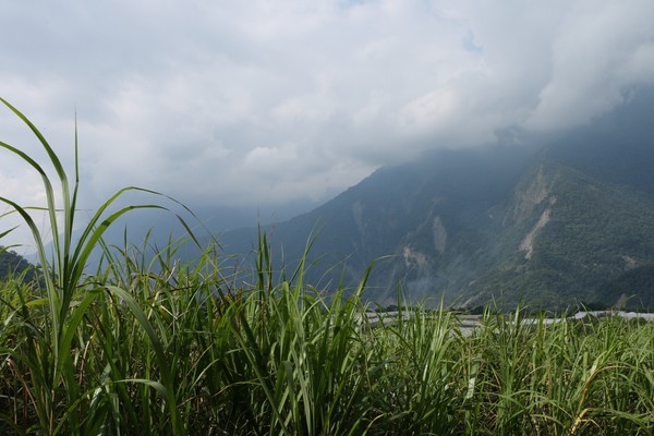 IMG_5447.JPG
