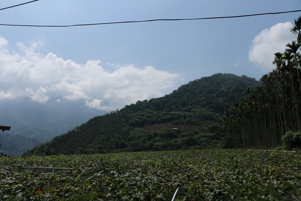 IMG_5550.JPG