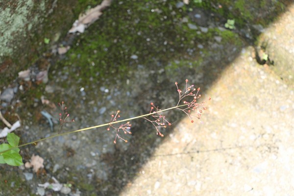 IMG_5552.JPG