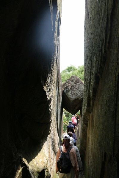 IMG_5586.JPG