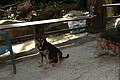 IMG_5407.JPG