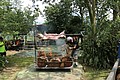 IMG_5409.JPG
