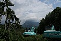 IMG_5425.JPG