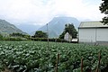 IMG_5432.JPG