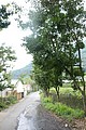 IMG_5434.JPG