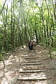 IMG_5438.JPG