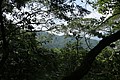 IMG_5443.JPG