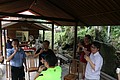 IMG_5482.JPG