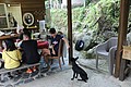 IMG_5498.JPG