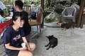 IMG_5506.JPG