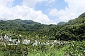 IMG_5548.JPG