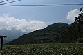 IMG_5549.JPG