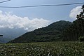 IMG_5550.JPG