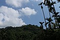 IMG_5551.JPG