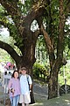 IMG_5558.JPG