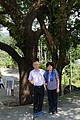IMG_5560.JPG