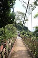 IMG_5564.JPG