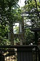 IMG_5565.JPG