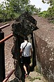 IMG_5568.JPG