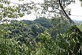 IMG_5571.JPG