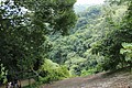 IMG_5588.JPG