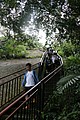 IMG_5589.JPG