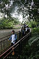 IMG_5590.JPG