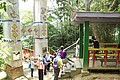 IMG_5591.JPG