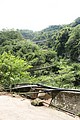 IMG_5597.JPG