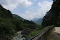 IMG_5598.JPG