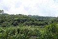 IMG_5601.JPG